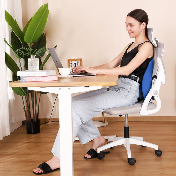 Lumbraze Lumbar Support Cushion