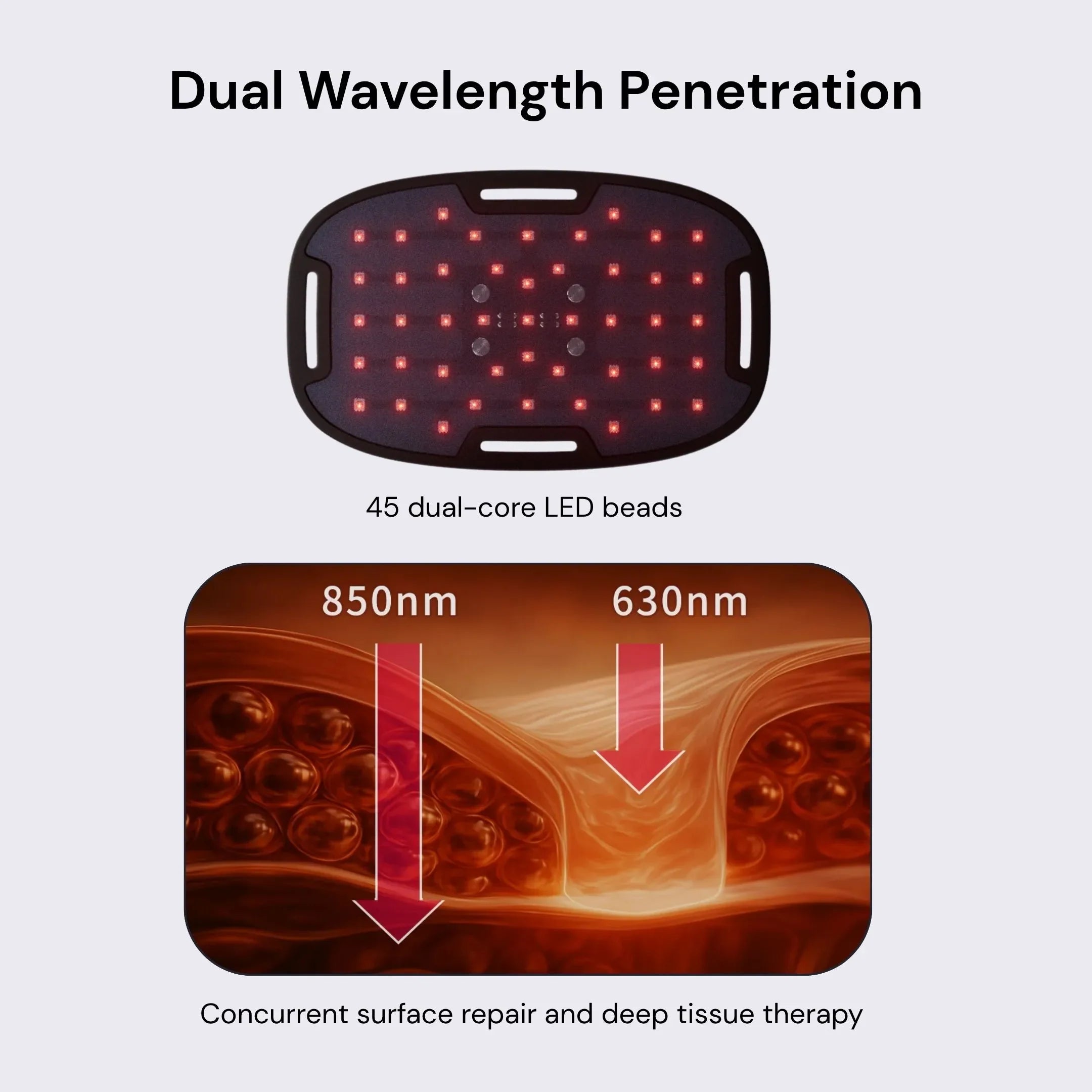 Dual Wavelength Red Light Therapy