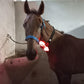 Lumaflex Pet Red Light and Infrared Therapy Wrap
