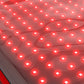 Red Light & Infrared Therapy Belt